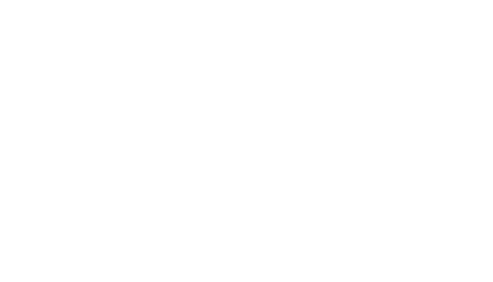 Swiss Gateway Logo